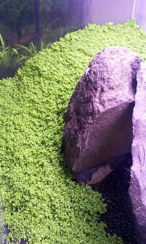 2012-08-15 20.52.14.jpg