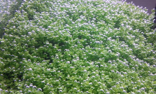 2012-08-22 19.07.29.jpg