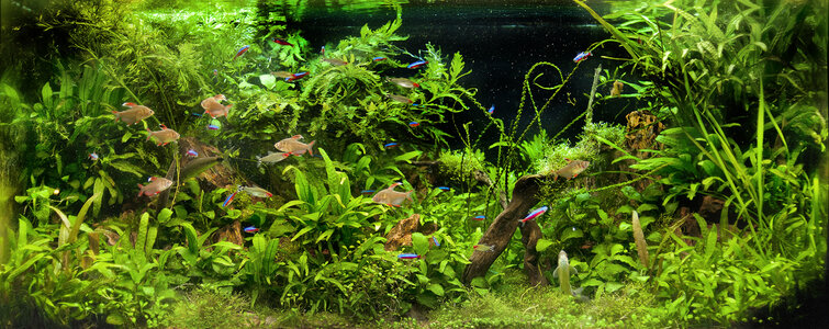 120822-Aqua5-klein.jpg