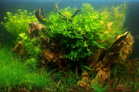 20120825_102604a.jpg