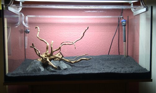 Aquarium 26.08.2012.jpg