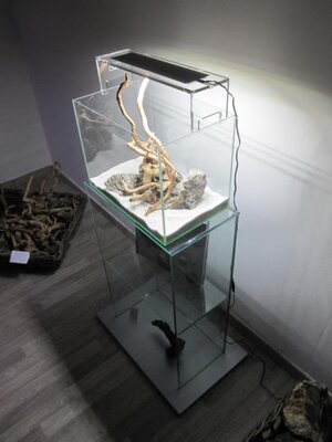 K640_IMG_3004.JPG