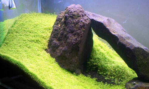 2012-09-022.jpg