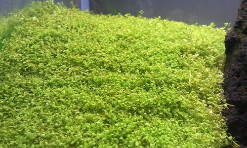 2012-09-21 18.57.07.jpg
