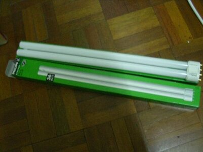 DSCN3511.JPG