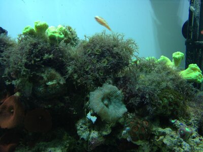 IMG_0267.JPG