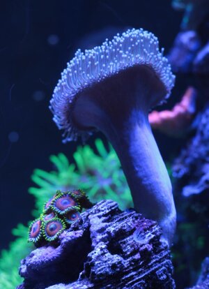 IMG_1027.JPG