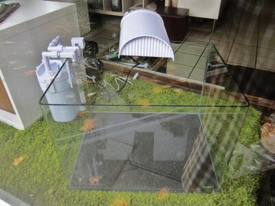 K640_IMG_3116.JPG