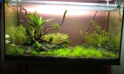 IMAG0657.jpg