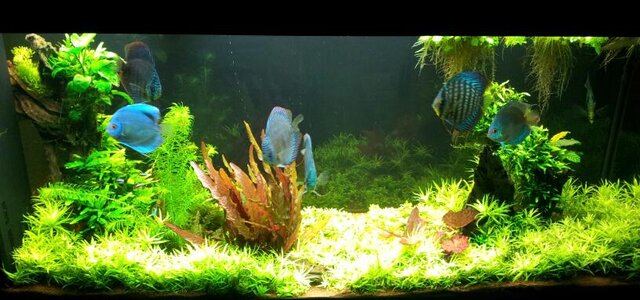 2012-10-27 21.30.40-1.jpg