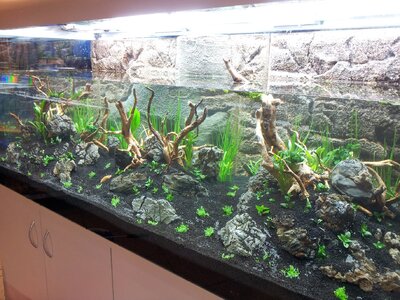 2012-10-26 12.49.07.jpg