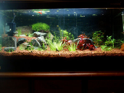 becken  4 _7 nov 12.JPG