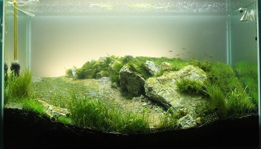 IMG_7645 2mb.jpg