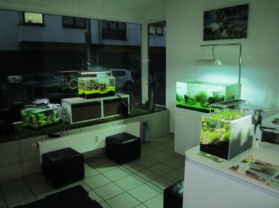 K640_IMG_3256.JPG