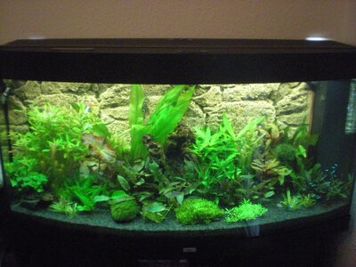 Aquarium2.JPG