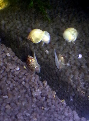 20121125_203341.jpg
