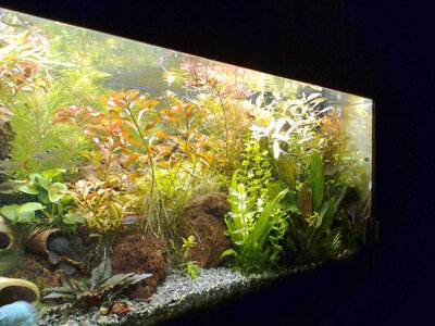 Bild0377.jpg