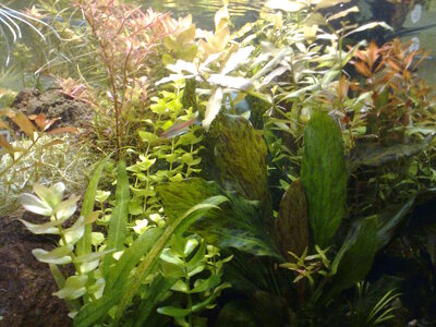 Bild0378.jpg