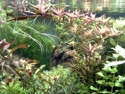 Bild0379.jpg