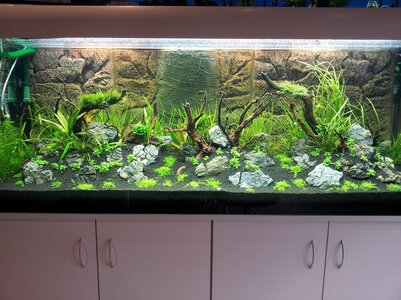2012-11-29 19.13.05.jpg