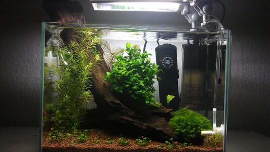 IMAG0293.jpg