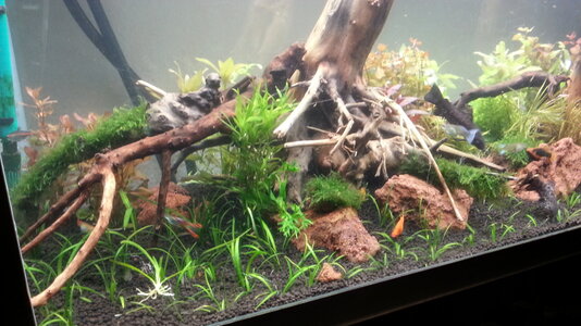 2012-12-20 09.03.55.jpg
