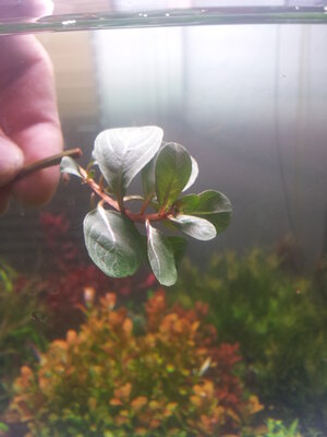 20121122_023045.jpg