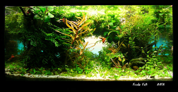 Lillafish Update Juli 1.jpg