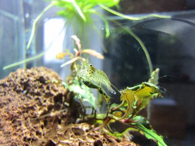 IMG_0855.JPG