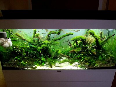 20121228_124456p.jpg