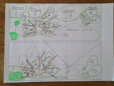 Pflanzplan_200er.jpg