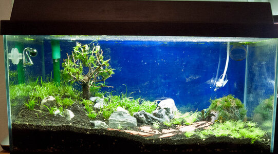 Juwel Abeckung quick and dirty umbauen auf LED Flowgrow