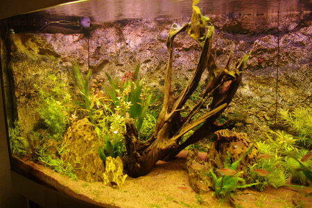 _IGP6627.JPG