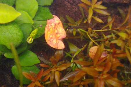 Bild0405.jpg