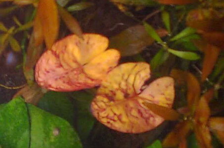 Bild0406.jpg