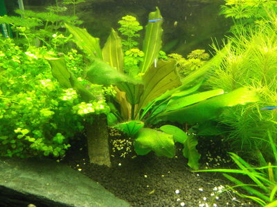 DSCF0148.jpg