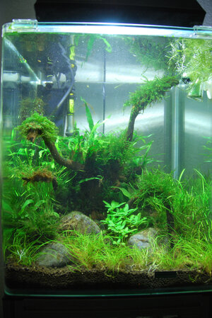led20w2.jpg