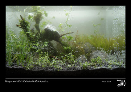 Glasgarten 360x250x280 mit ADA Aquasky Bild 07a.jpg