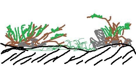 paint.jpg