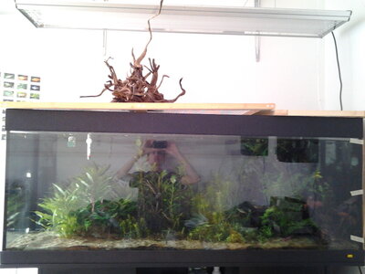 450L-5-vorne.jpg