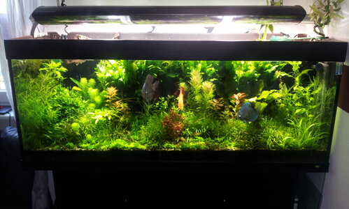 20130112_113028.jpg