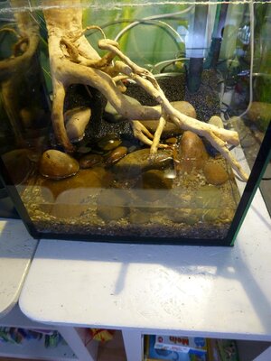 Hardscape schräg oben mit Strand.JPG