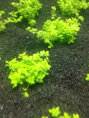 foto170113204038.jpg