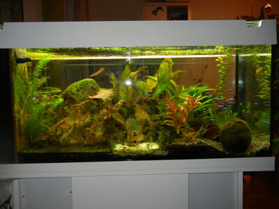 DSCN0792.JPG