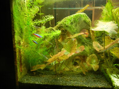 DSCN0793.JPG