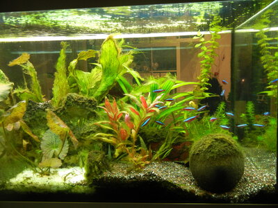 DSCN0794.JPG