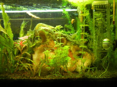 DSCN0796.JPG