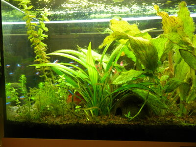 DSCN0797.JPG