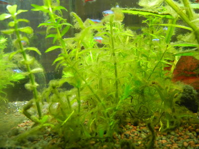 DSCN0798.JPG