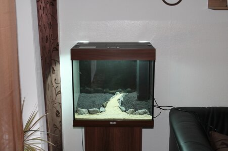 IMG_0775.JPG